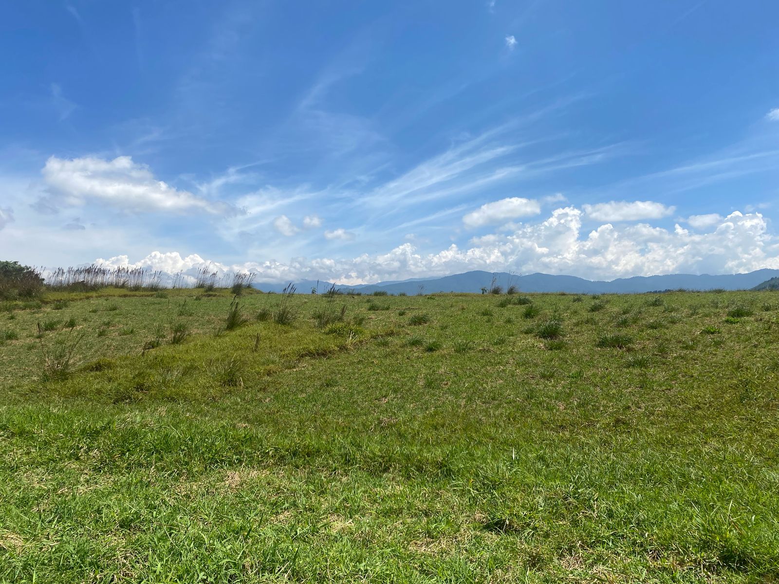 Terreno Finca Cármenes